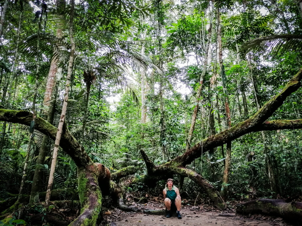 Das Bild zeigt Kerstin Plaß, die Projektleiterin beim Klimabündnis Österreich, welche uns im Gastkommentar Einblicke in die Welt von indigenen Frauen in Brasilien gibt. Auf dem Bild ist Kerstin Plaß im Regenwald am Rio Negro zu sehen.